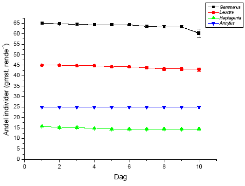 Figur 3.38. Gennemsnitligt (&plusmn; standard error, n=4) antal individer af de fire unders&oslash;gte arter i renderne behandlet med 10 ng l<sup>-1</sup> lambda-cyhalothrin i fors&oslash;gsperioden (10 dage). Start-individantallet i renderne var 65 for Gammarus pulex, 45 for Leuctra nigra, 25 for Ancylus fluviatilis og 15 for Heptagenia sulphurea