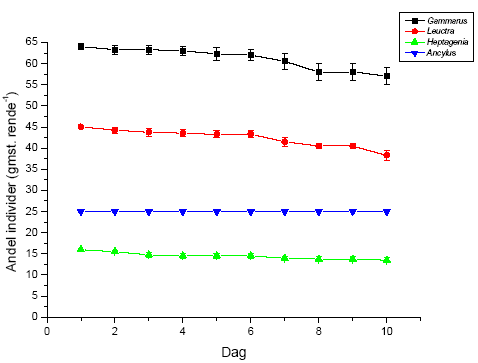Figur 3.39. Gennemsnitligt (&plusmn; standard error, n=4) antal individer af de fire unders&oslash;gte arter i renderne behandlet med 100 ng l<sup>-1</sup> lambda-cyhalothrin i fors&oslash;gsperioden (10 dage). Start-individantallet i renderne var 65 for Gammarus pulex, 45 for Leuctra nigra, 25 for Ancylus fluviatilis og 15 for Heptagenia sulphurea