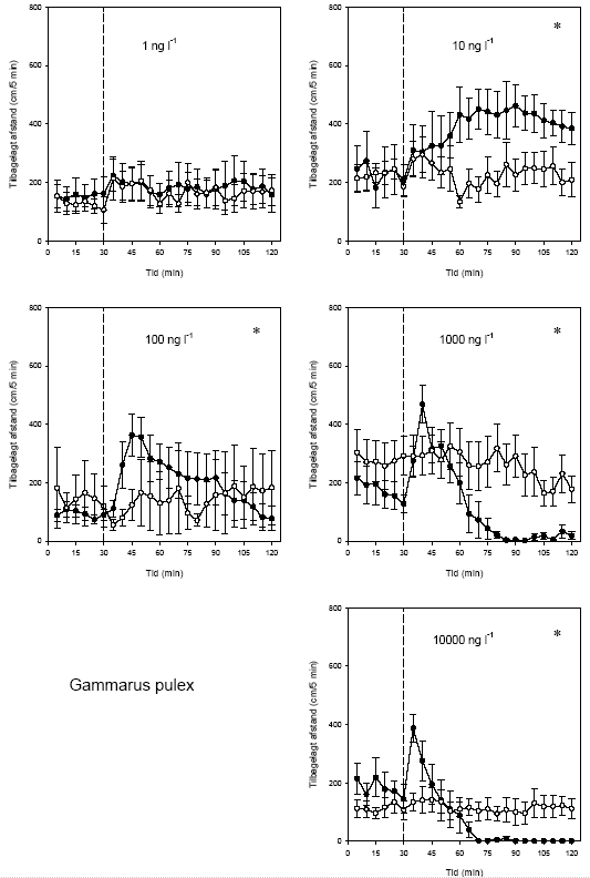 Figur 3.6. Effekt af lambda-cyhalothrin på tilbagelagt afstand hos Gammarus pulex