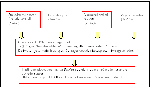 Figur 2. Dyrefors&oslash;g A blev udf&oslash;rt som tre separate fors&oslash;g med B. cereus, Bt subsp. kurstaki &nbsp;og Bt &nbsp;subsp. Israelensis.