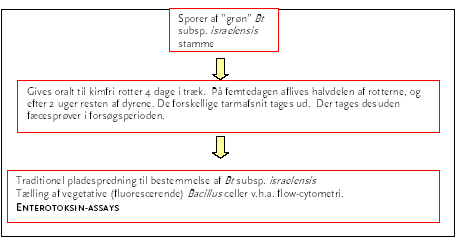 Figur 3. Dyrefors&oslash;g B1