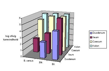 Figur 8. Samlet figur der viser antallet af hhv. B. cereus, Bt subsp. kurstaki (Btk) og Bt subsp. israelensis (Bti) i de tre fors&oslash;g. Tallene stammer fra de dyr der blev doseret med ubehandlede sporer (Hold 2). Detektionsgr&aelig;nsen var 10 cfu/g tarmindhold for B. cereus og Btk, og 10&sup3; cfu/g tarmindhold for Bti