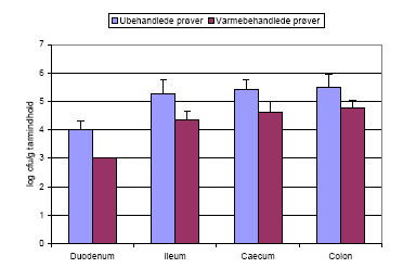 Figur 10.&nbsp; Tarmpr&oslash;ver fra dyr doseret med Bt subsp. israelensis</em> sporer blev talt b&aring;de f&oslash;r og efter varmebehandling. Tallet (log cfu/g tarmindhold) f&oslash;r varmebehandling giver det totale antal bakterier, sporer og vegetative celler, mens tallet efter varmebehandling angiver antallet af sporer i pr&oslash;ven, da de vegetative celler bliver dr&aelig;bt af varmebehandlingen.