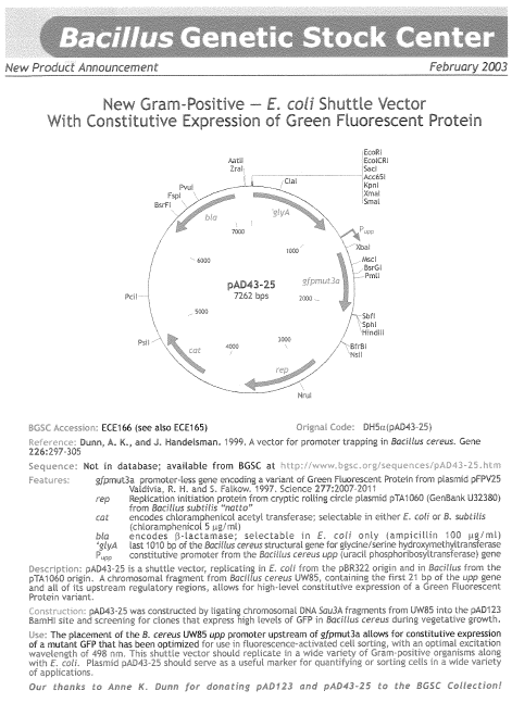 1.1 Kort over anvendt plasmid