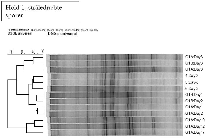 1.7 DGGE data fra B. cereus fors&oslash;get