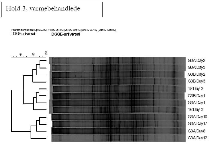 1.7 DGGE data fra B. cereus fors&oslash;get