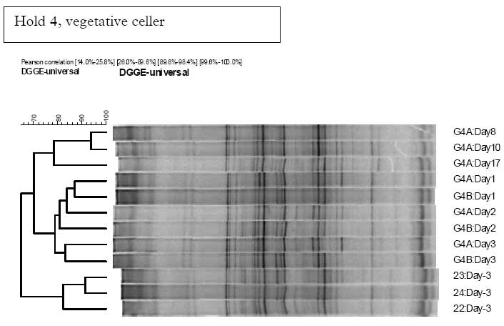 1.7 DGGE data fra B. cereus fors&oslash;get