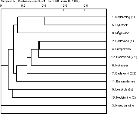 Figur 4.2 Klusteranalyse af resultaterne fra den fænotypiske karakterisering. Tallene i parentes angiver om prøven er udtaget den 21. august (1) eller 10. september (2).