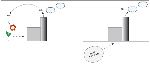 Figur 3.1: Anskueliggørelse af CO2 -kredsløb ved anvendelsen af CO<sub>2 </sub>-neutral bioenergi og fossile energikilder