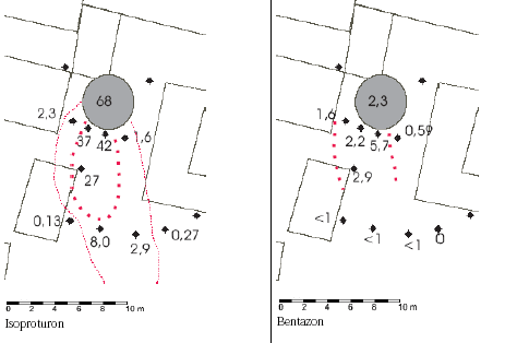 Figur 6b. Isoproturon og bentazon (&micro;g/l). Ajlebeholderen, hvortil vaskepladsen (tilst&oslash;dende rektangel) dr&aelig;nes, er markeret med gr&aring;t. Str&oslash;mningsretningen er mod syd&ndash;syd&oslash;st. Lokalitet 2.