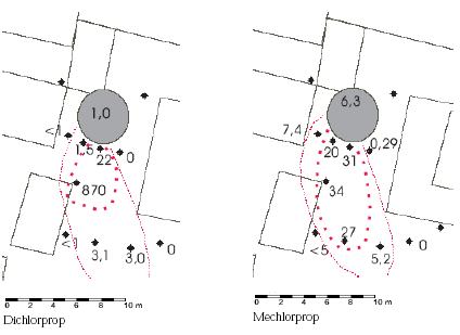 Figur 6c. Udsnit af forureningsfanen med dichlorprop og mechlorprop (&micro;g/l). Ajlebeholderen, hvortil vaskepladsen (tilst&oslash;dende rektangel) dr&aelig;nes, er markeret med gr&aring;t. Str&oslash;mningsretningen er mod syd&ndash;syd&oslash;st