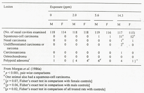 tab4.1.gif (30671 bytes)