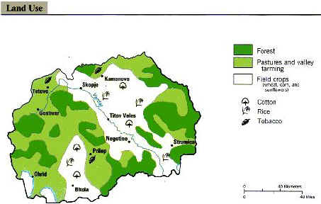 wpe4.jpg (149889 bytes)
