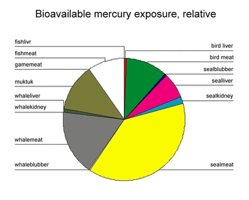 Bioavailable mercury exposure, relative