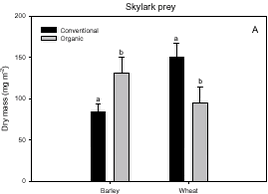 Estimated mean dry masses of ’Skylark prey’.