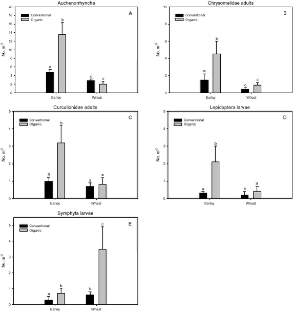 Estimated densities of herbivores important as Skylark prey.