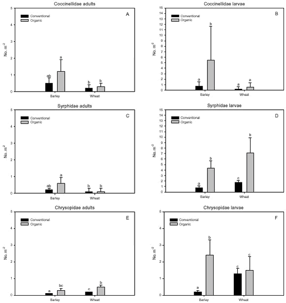 Estimated densities of Aphididae specific beneficials.
