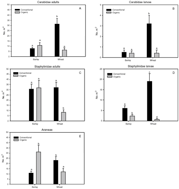 Estimated densities of important generalist predators.