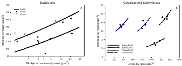 Models of the relationships between estimated vegetation dry mass and arthropod dry mass at organic farming.
