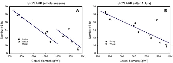 Skylark densitites in relation to cereal crop biomass for all counts (A) and late counts only (B).