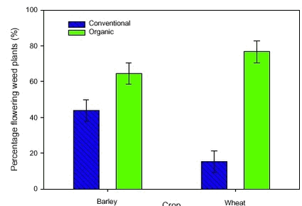 Proportion of flowering weed plants in spring barley and winter wheat grown organic and conventional.
