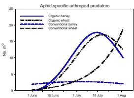 Simple descriptive models of the population developments during June and July of the Aphididae specific predators: Coccinellidae, Syrphidae and Chrysopidae