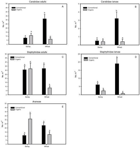 Estimated densities of important generalist predators.