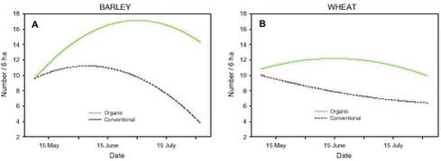 Models of the development in Skylark numbers on the study fields from early May to early August in relation to crop and period (before/after conversion.