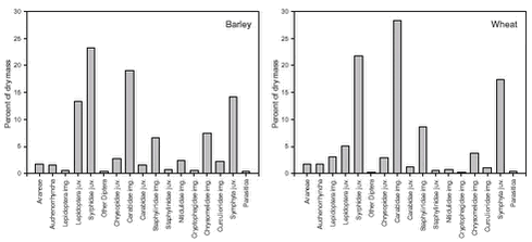 Proportions of estimated dry mass of Skylark prey made up by selected arthropod groups in faecal samples from barley and wheat.