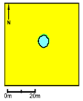 Pond P8