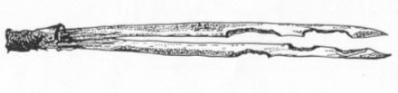 Figure 1.1: Damage on needles caused by Strophosoma spp. (from Sedlag and Kulicke, 1979).