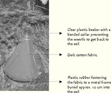 Figure. 4.1 Emergence trap for monitoring of adults of Strophosoma emerging from the soil.