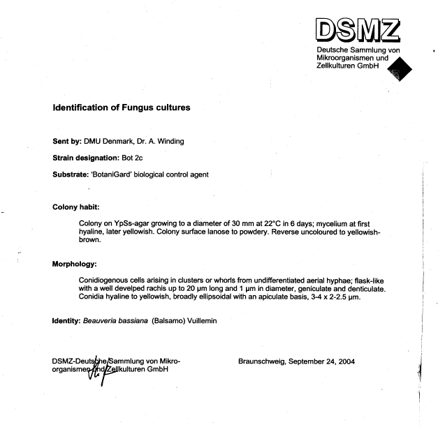 Identification schemes from Deutsche Sammlung von Mikroorganismen und Zellkulturen