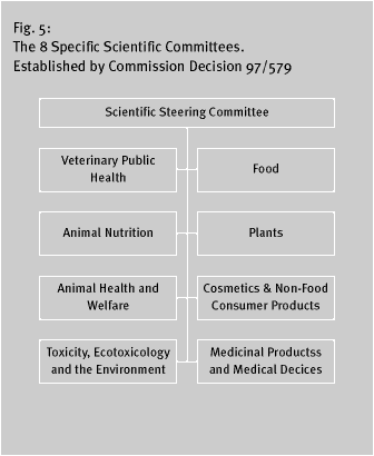 Illustration: Figur 5. The 8 Specific Scientific Committees. Esthablished by Commission Decision 97/579 (7 Kb)