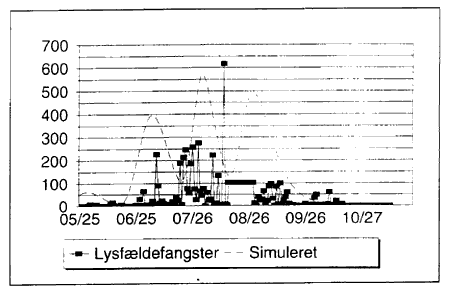 Figur 3.10. Simuleret kurve over det daglige antal af voksne mitter sammenlignet med fangst af C. punctatus (7 Kb)