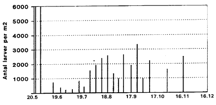 Figur 3.3. Gennemsnitlige antal mittelarver <NOBR>per m<SUP>2</SUP>, </NOBR>Egelkke Lung, 1996.  (7 Kb)