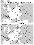 Fig. 3.2 Mulige konomiske skvheder mellem lufthavne: "grnseeffekten" (23 Kb)