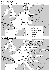 Fig. 3.5 Mulige konomiske skvheder for afrejse/destinations-forbindelser efter indfrelse af en brndstofafgift (27 Kb)