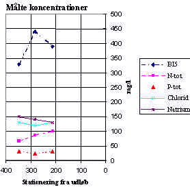 wpe21.jpg (12613 bytes)