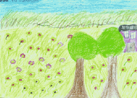 13.gif (40683 bytes)