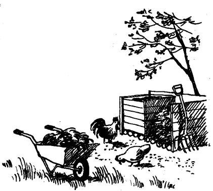 18.gif (18981 bytes)