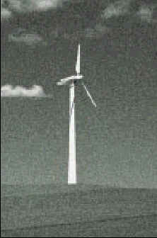 wpe16.jpg (7852 bytes)