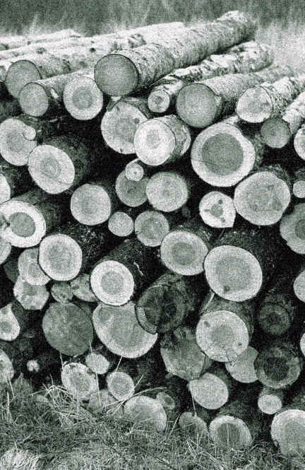 wpeB.jpg (53745 bytes)