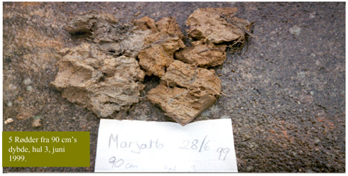 fi16.jpg (69849 bytes)