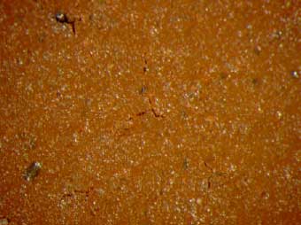 Figur G.23. Prøve C Hammershøj – reference 1050ºC Synsflade – Forstørrelse 24x