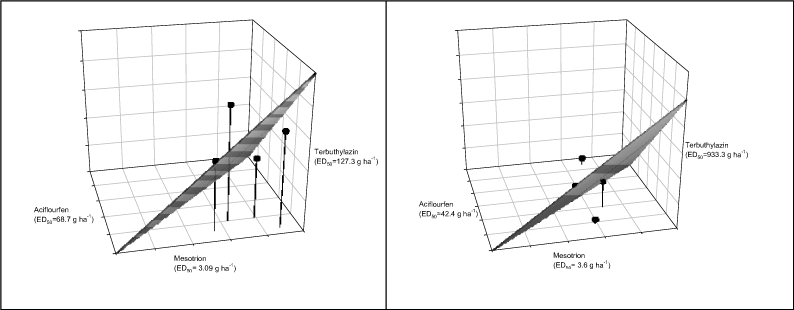 Figur 35. ED<sub>50</sub> værdier af aciflourfen+mesotrion+terbuthylazin. Det skraverede plan angiver placering af ED værdier ved additivitet (forsøg 1 og 2).