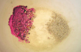 Foto 3.1 phenolphthalein behandlede prøver af karbonatiseret og ikke-karbonatiseret beton