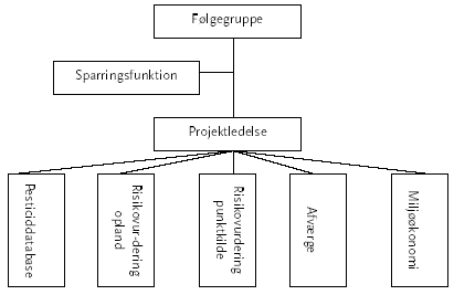 Figur 8.3 Organisationsdiagram for &ldquo;Pesticider og punktkilder&rdquo;