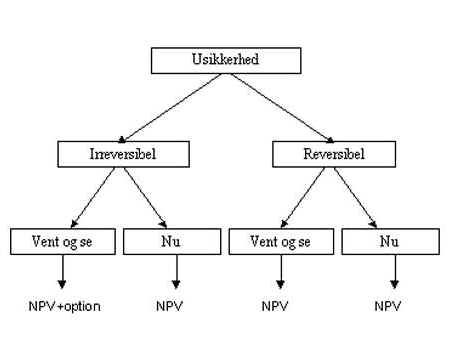 Decision-making basis under uncertainty, reversibility and flexibility