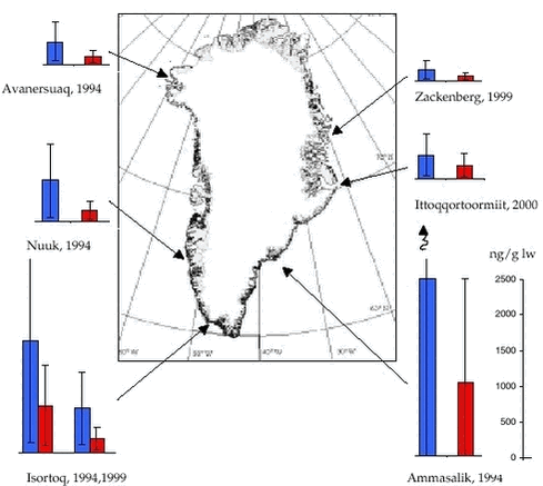 Figure 3.4.1. ΣPCB-10 (blue) and ΣDDT (red) in landlocked female Arctic char in Greenland (adjusted to 40 cm length). 